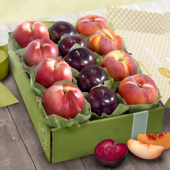 AB2011, Summer Fruit Collection Deluxe Gift Box